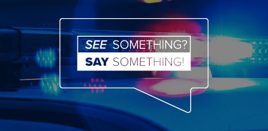 See Something Say Something