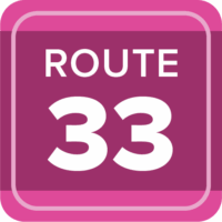 Route 33 Pink - Web Button Route 33 Pink - Web Button