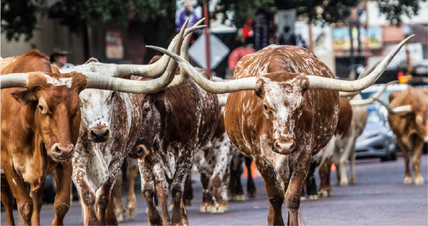 Stockyards